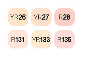 MARCADORES TOUCH TWIN BRUSH 6 COLORES TONOS PIEL