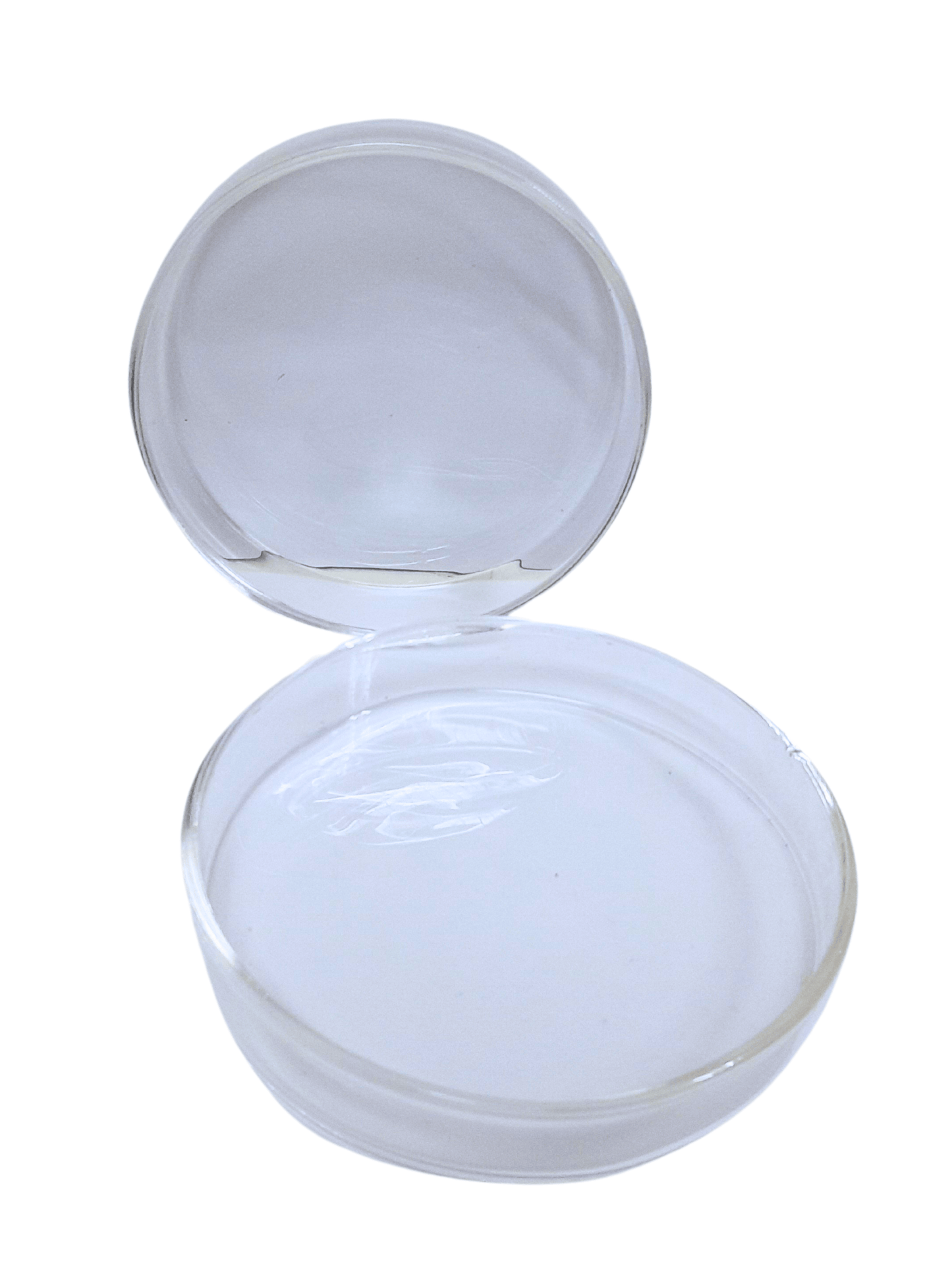 CAPSULA DE PETRI 90MM X 15 MM VIDRIO  (PINOCHO)