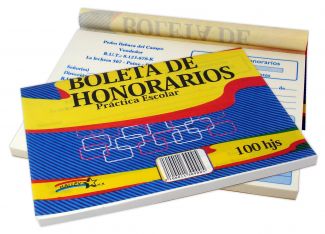 BOLETAS DE HONORARIOS PRACTICA ESCOLAR MARDINI