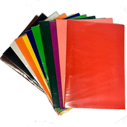 CARPETA PLASTIFICADA CON ACCOCLIP PLASTICO